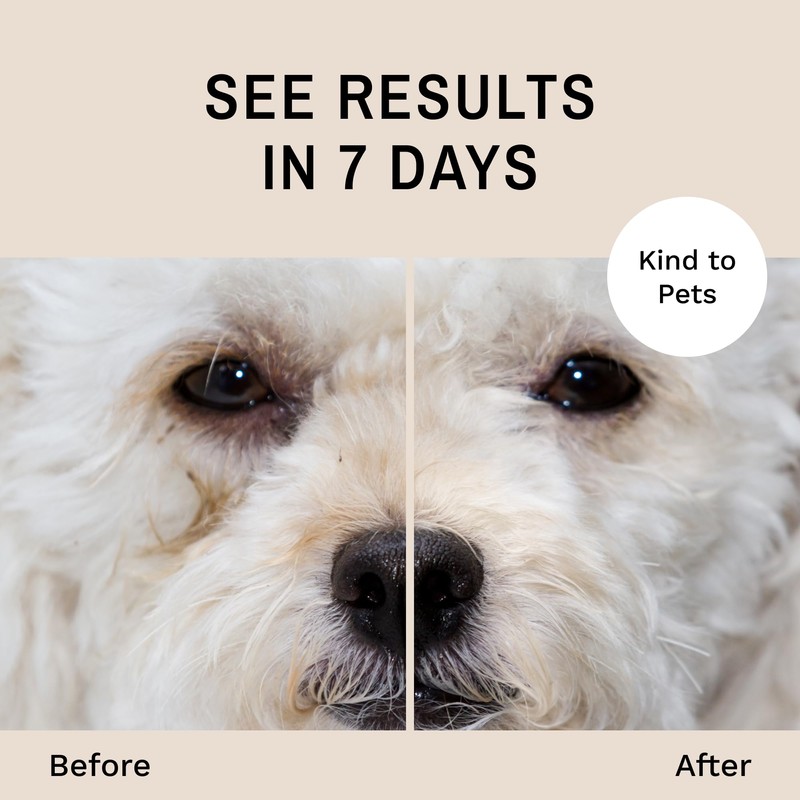 Eye Envy Dog Tear Stain Remover Starter Kit with ProPowder