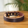 PET ARTIST Genuine Leather Dog Collar and Leash Set, Soft