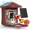 PeckCam® Bird Feeder with Camera, 2K Ultra HD Live Stream