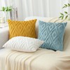 CJWLKJ 2Pcs Soft Faux Fur Throw Pillow Covers 18x18 -
