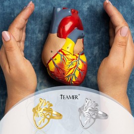 TEAMER Hollow out anatomical heart ring, anatomy ring, fashionable medical biology jewellery, made of stainless steel for doctors, nurses, women and men, Stainless Steel, No Gemstone