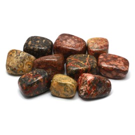 CrystalAge Leopard Skin Jasper Tumble Stone (20-25mm) - Single Stone