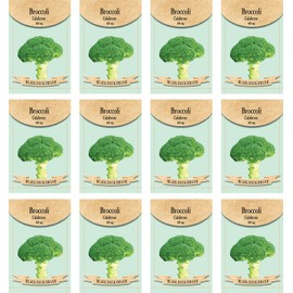 Set of 12 Broccoli Vegetable Seed Packs - Create a Deluxe Garden - All Seeds are Heirloom - 100% Non-GMO (Broccoli)