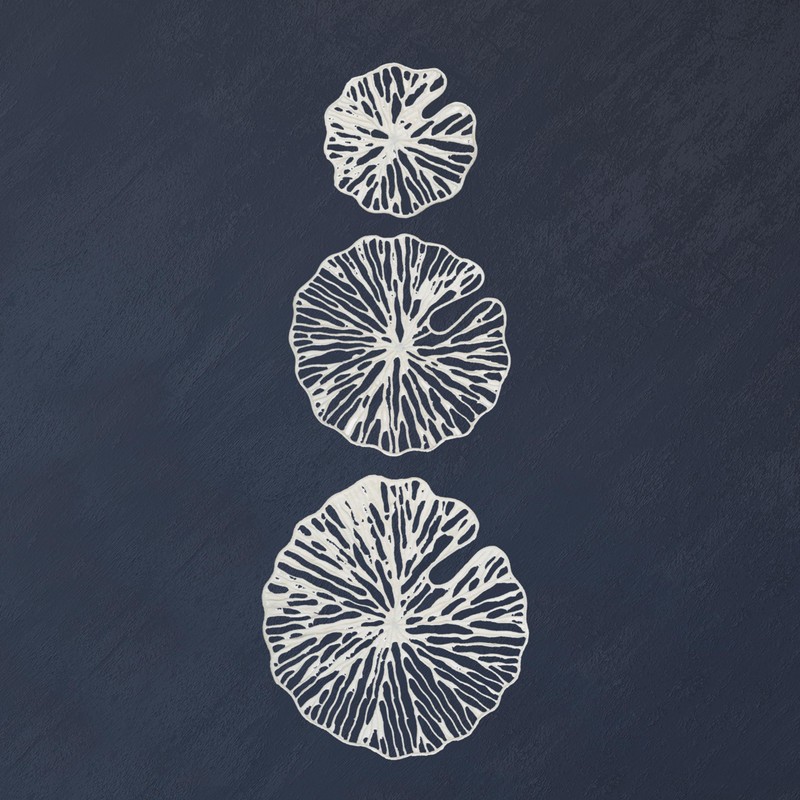 Creative Co-Op Handmade White Coral Shaped Paper & Metal Wall