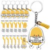 Siifert Emotional Support Keychain Bulk with Tassel Dietitian Gift Appreciation