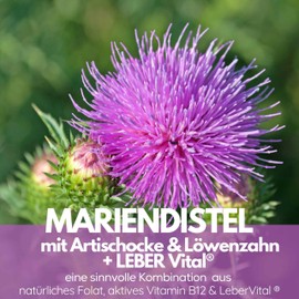 PURE NATURAL CHOICE Mariendistel Komplex — mit LEBER Vital® Formel - TÜV geprüft, 8-Fach Formel mit Artischocke, Löwenzahn - 80% Silymarin -120 Kapseln - Hochdosiert, in Deutschland hergestellt