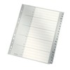 Leitz Index for A4, Cardboard Cover Sheet and 20 Plastic