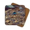 Kingfisher River Drinks Coasters by Wildlife Artist Julian Friers -