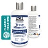 Trace Minerals from the Great Salt Lake, Liquid Drops 355