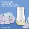 Glade Glade electric scented oil Nachfüller, elektrischer Raumduft Duftstecker mit