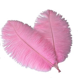 Sowder 8-10inch(20-25cm) Ostrich Feathers Plume for Wedding Centerpieces Home Decoration Pack of 10pcs(Pink)