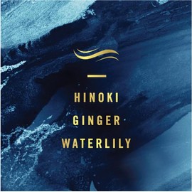 Febreze Odor-Fighting Fade Defy Plug Air Freshener Refill - Ocean - (3) of 0.87 fl oz Refills