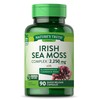 Nature's Truth Irish Sea Moss Complex | 90 Capsules |