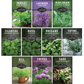 SURVIVAL GARDEN SEEDS 10 Herb Seeds Collection - Variety Pack to Grow Basil, Chives, Cilantro, Dill, Lavender, Marjoram, Oregano, Parsley, Sage & Thyme Herb Plants - Non-GMO Heirloom Seed Varieties - Survival Garden Seeds
