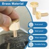 M METERXITY 5-Pack Knurled Thumb Screws, M6x16mm Solid Brass Flat