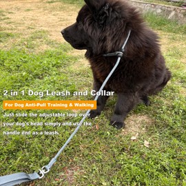 LWBMG Slip Lead Dog Leash with Double Handle,6 FT Heavy Duty Dog Training Leashes, No-Pull Reflective Nylon Slip Leash and Collar for Large Medium Small Dogs Grey