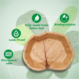 Indochine Art Leaf PLate Made From Seagrape Leaf 5x6 inch | Pack 50 | Premium Disposable Plates | Eco Friendly, Compostable & Biodegradable | Best For Birthday Party, Wedding