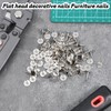 100 Pcs Extra Long Push Pins, Silver Heavy Duty Thumb