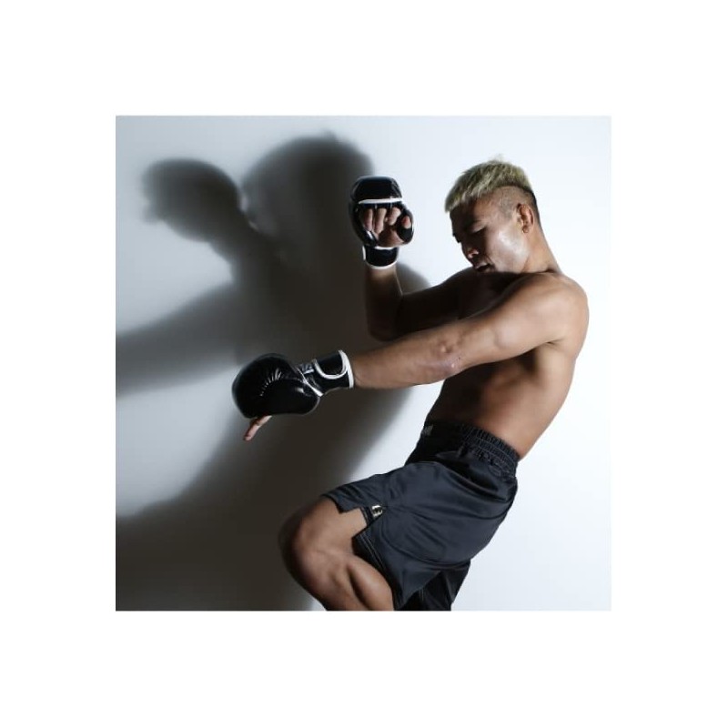 isami TN-8 Pound Gloves Sparring After Mixed Martial Arts (FREE)