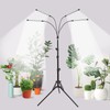 Grow Light with Stand, for Indoor Plants with White and