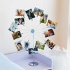 Desktop Photo Holder with Clips, 14-AST Tree Style Desktop Photo