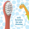 Dr. Brown's Toddler Toothbrush, Dinosaur, Green and Orange, 2-Pack