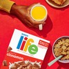 Quaker Life Breakfast Cereal, Cinnamon, 13 Ounce (Pack of 3)