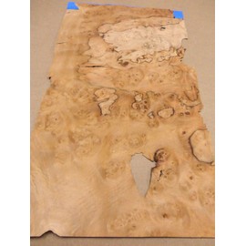 Pimento Pepperwood Nogal Burl Wood Veneer 13" x 23" raw Veneer no Back 1/42"