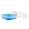 BIPEE Polystyrene Petri Dish 60 x 15mm, Sterile, Pack of