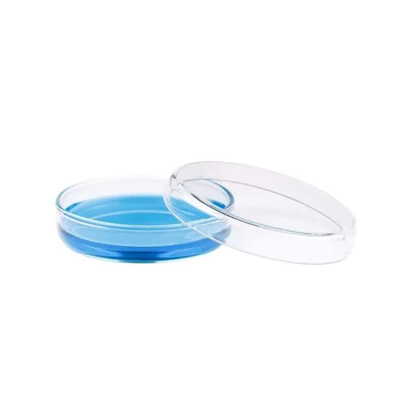 BIPEE Polystyrene Petri Dish 60 x 15mm, Sterile, Pack of