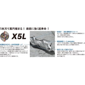 Bosch SDS Plus Bit X5L 0.3 inch (7.0 mm) φ x 6.5 inches (165 mm) X5L070165