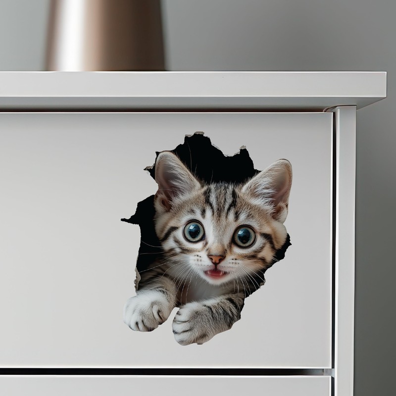 Tabby Cat Decal - Wall Hole Cat Sticker with 3D