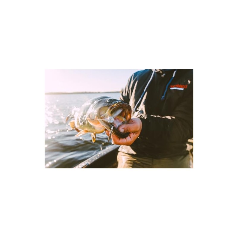 Northland Fishing Tackle Smeltinator Underspin Jig Head, Premium Bass Fishing