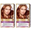 L'Oréal Paris Excellence Duo Cream Shared Gray Hair Dye, 6.35 Copper Light Brown, 2 Pieces / 로레알파리 엑셀랑스 듀오크림 나눠쓰는 새치염색 염모제, 6.35 코퍼라이트브라운, 2개