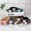 Collar de Perro Personalizado, Personalizado Grabado con láser Collares con