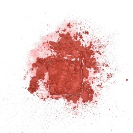 Pastel Profashion Crush Blush 304