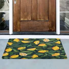 ALAZA Doormat Lemons Leaves Front Door Mat, Indoor Outdoor Floor Mats for Entrance, Non-Slip Welcome Mat 20x32 inch