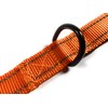 Enthusiast Gear Nylon Dog Leash with Locking Carabiner for Large