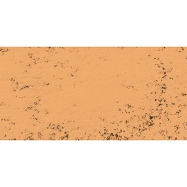 Art Spectrum Artists' Soft Pastel - Coral 507T