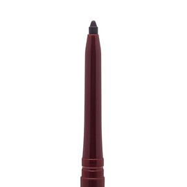 Palladio Delineador de Labios Retráctil Resistente al Agua de Alto Pigmento y Color Cremoso, Fórmula a Prueba de Manchas y de Larga Duración Todo el Día sin Necesidad de Sacapuntas, Black Berry