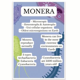 Monera Classroom Poster - Science Biology Classroom Poster - 12 x 18 Inch - Classroom Decor - Classroom Must Haves - Back To School Decor - CPS0642