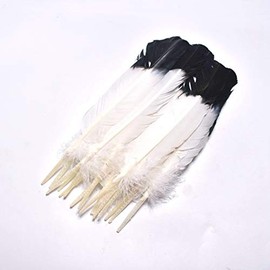 Maslin 100Pcs/lot 10-12inch/25-30cm Turkish Wing Feather Imitation Eagle Feathers DIY Jewelry Decorative Indian Headdress