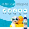 Jax n Daisy It's a Pool Pawty Summer Scent Dog