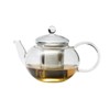 Trendglas Jena MIKO Teapot in Classic Design with Stainless Steel