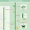 Extendable Plant Stakes 12 Inch, 12-Pack Heavy Duty Plant Support