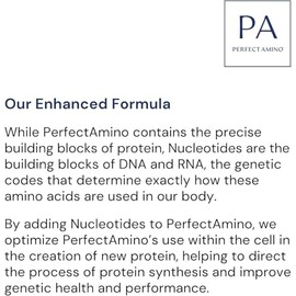 BodyHealth PerfectAmino Powder - Polvo BCAA y EAA sabor Lima Limon para antes y después del entrenamiento, polvo de bebida energética vegana de aminoácidos para hombres y mujeres