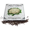 Cauliflower Seeds for Planting | Snowball Y Improved Variety (2g