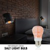 Himalayan Glow Salt Lamp LED Light Bulbs 60-Watt Equivalent, Warm