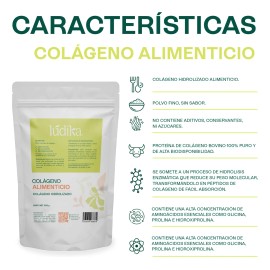 Colageno Hidrolizado Suplemento Peptidos De Colageno 500 G Sin Sabor
