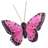 Banberry Designs Clip On Butterflies - Butterfly Clips with Feather